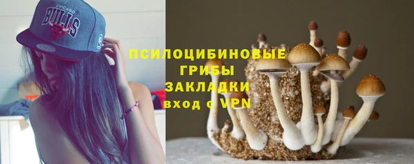 крисы Алексеевка