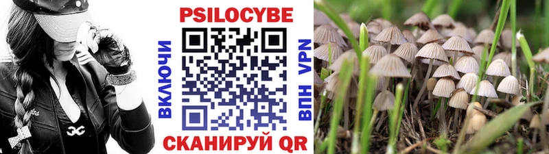 Псилоцибиновые грибы прущие грибы  МЕГА ССЫЛКА  Апрелевка 